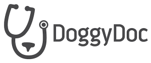 doggydoc-logo-and-name-600x250